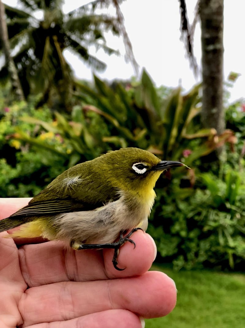 Maui, Hawaii